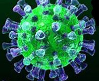 Coronavirus - Covid-19