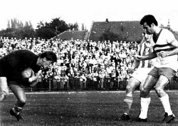 Danka in actie.
