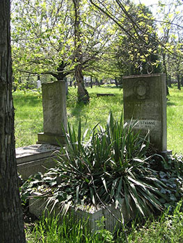 De graven van Tóth Potya István en Kertész Géza broederlijk naast elkaar.