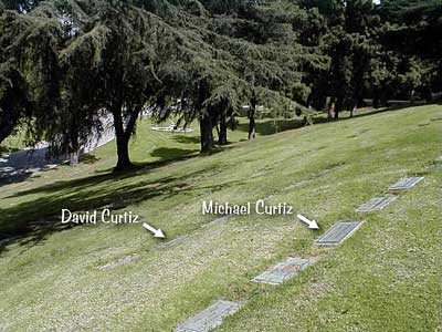 Het graf met de grafsteen van Michael Curtiz, op het Forest Lawn Memorial Park Cemetery (Glendale), Los Angeles.