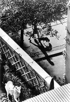 Kertész André: